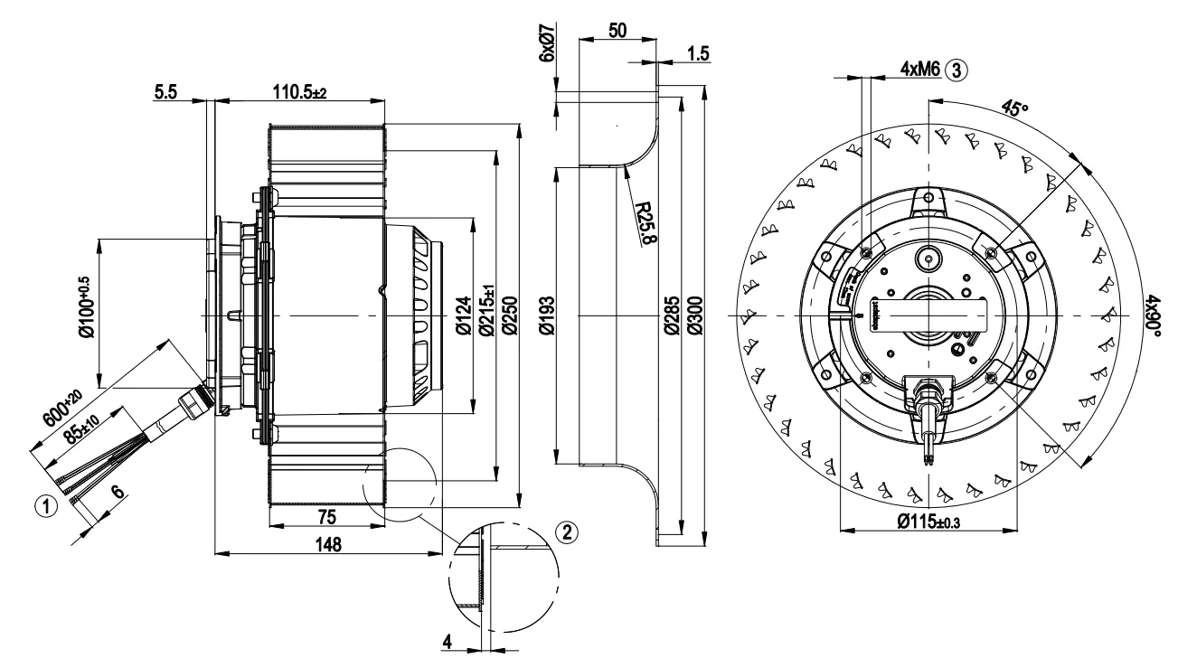 Габаритные размеры R4D250-CD12-05