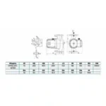Циркуляционный насос CMS(L)50-12F3M CNP — изображение 3