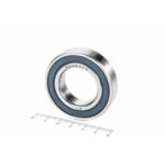 Подшипник 6006 2RS (6-180106 С17) 30*55*13мм ГПЗ/СПЗ-4
