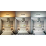 Лампа светодиодная 6.5W/4000K (=60W) E27 | 220-240V 550Lm 6000h | Шарик | - RADIUM RL- P60 — изображение 5