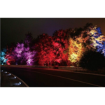 Лампа металлогалогенная цветная 250W/E40 GREEN (Зелёный) - FOTON LIGHTING — изображение 2